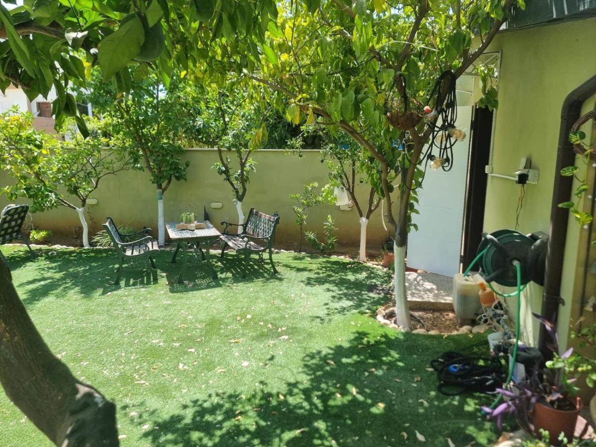 B&B Amit 18 Minutes From The Airport - אירוח כפרי עמית 18 דקות משדה תעופה Petach Tikva 外观 照片